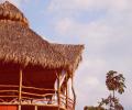 La Colina Jardin de Yoga