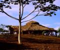 La Colina Jardin de Yoga